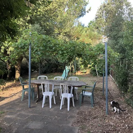 ヴィラ Les Hortensias - Proche De La ジャール・シュル・メール