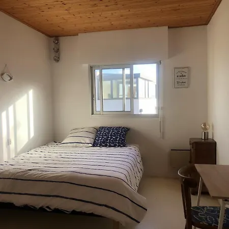 Les Hortensias - Proche De La *