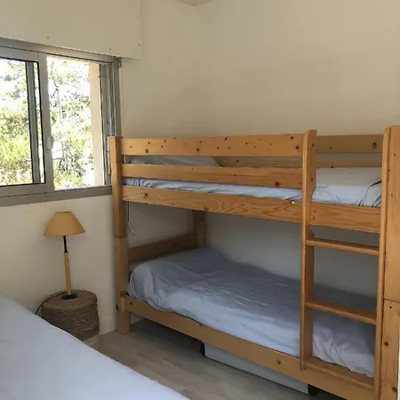 Les Hortensias - Proche De La Willa