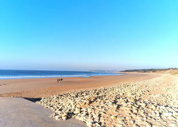 Les Hortensias - Proche De La